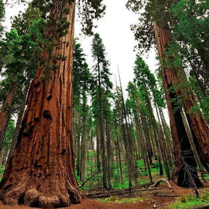 Meet your Posher, Ian